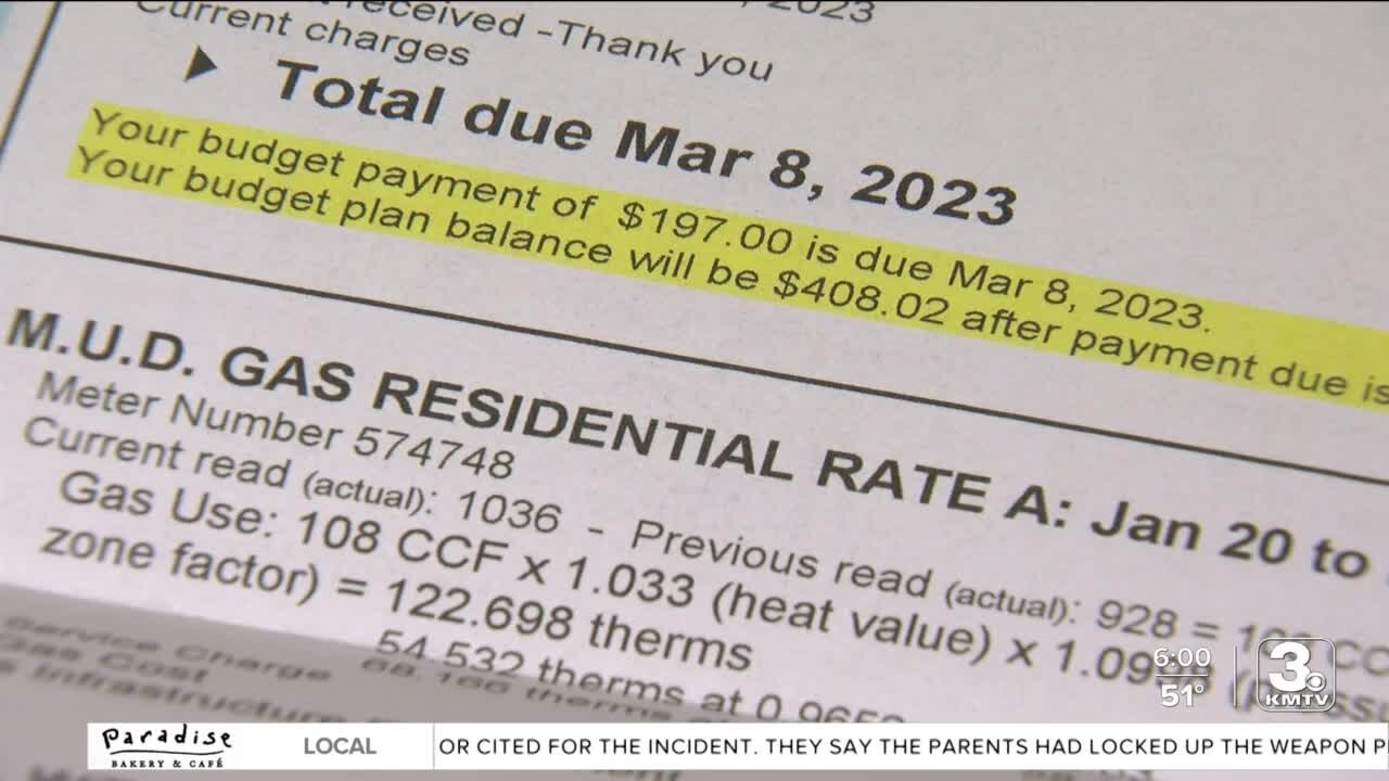 How does MUD's 'budget plan' billing work?