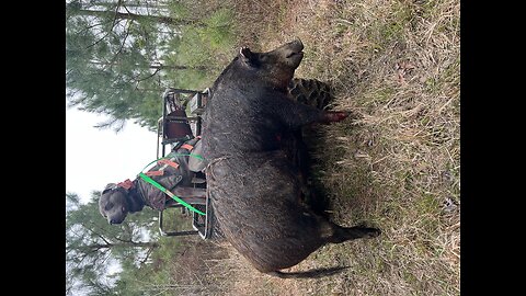 March 21, 2023 Full Cast. 254lbs