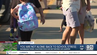 You Are Not Alone: Back-to-school stress