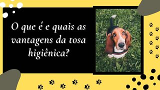 O que é e quais as vantagens da tosa higiênica?