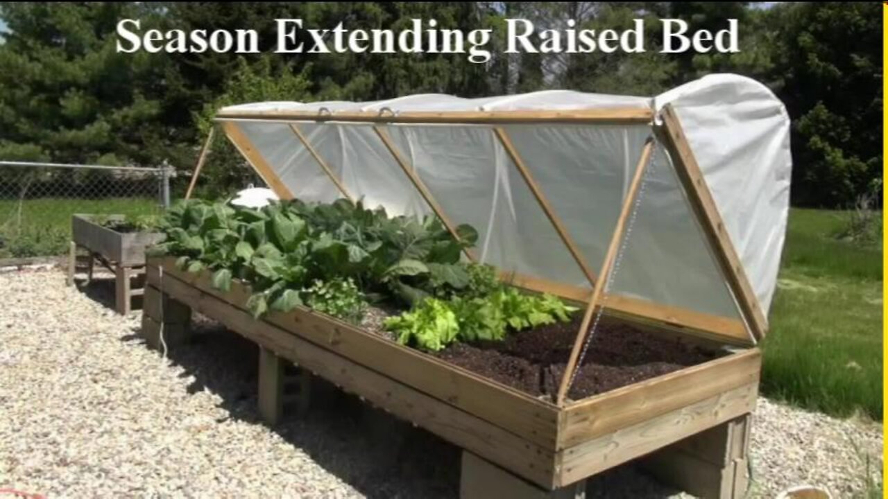 Growing Vegetables in a Season Extending Raised Bed