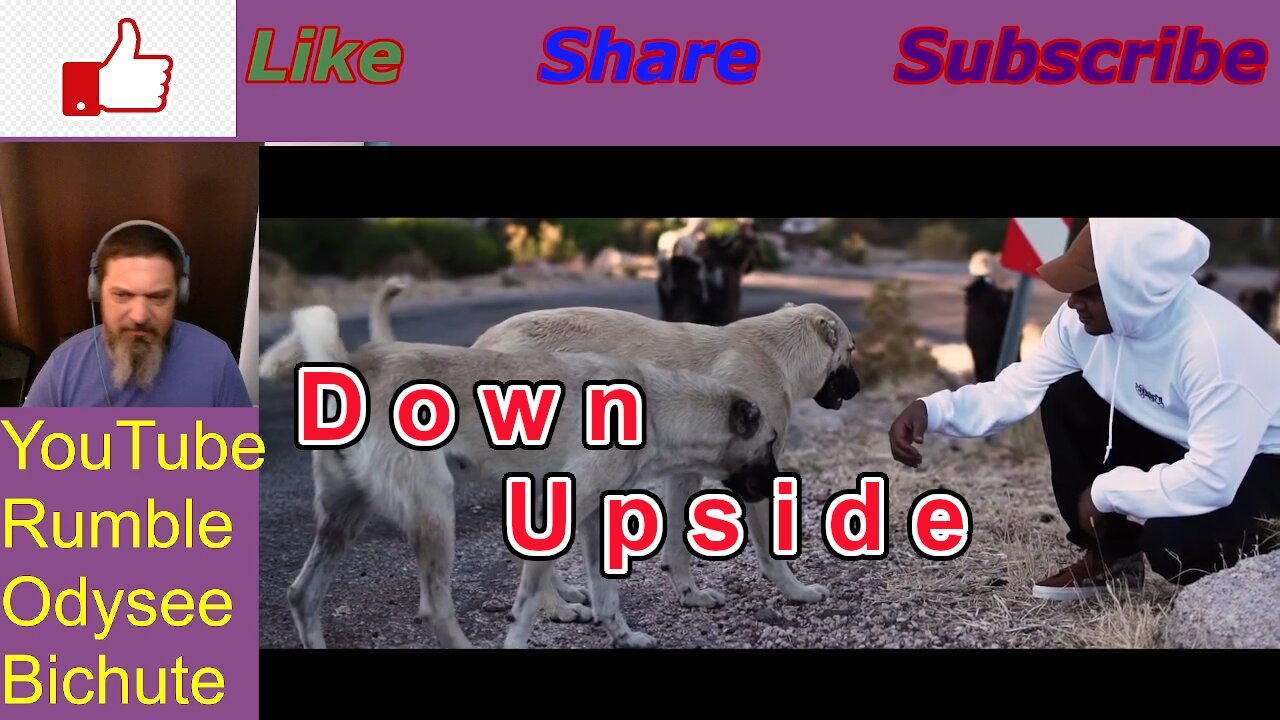 Shahmen Down Upside Reaction