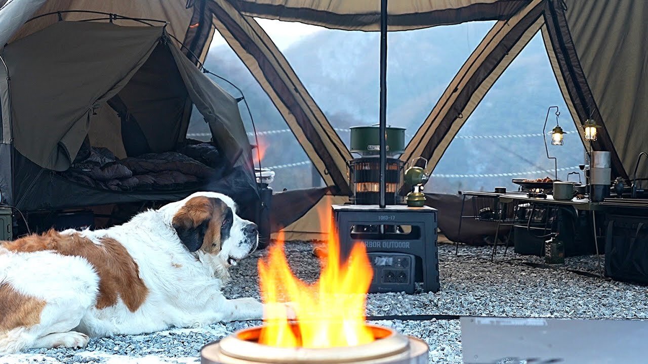 80kg Giant Dog Visits My Tent 🐕 Cozy Winter Camping With Brand New Tent