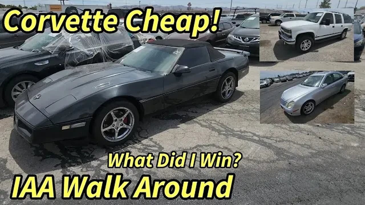 Corvette Almost Mint! Mercedes Surburban and More Deals, What Did I Win?