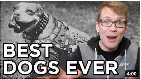 Top 10 Best Dogs Ever