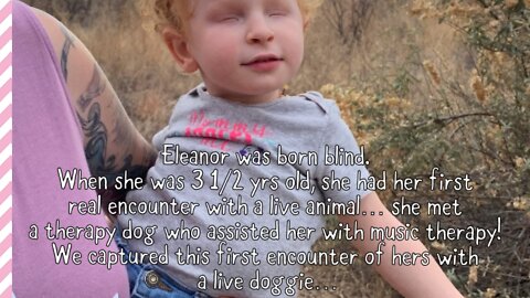 Eleanor’s first time meeting a dog!