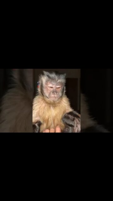 Party in the bed tonight #shorts