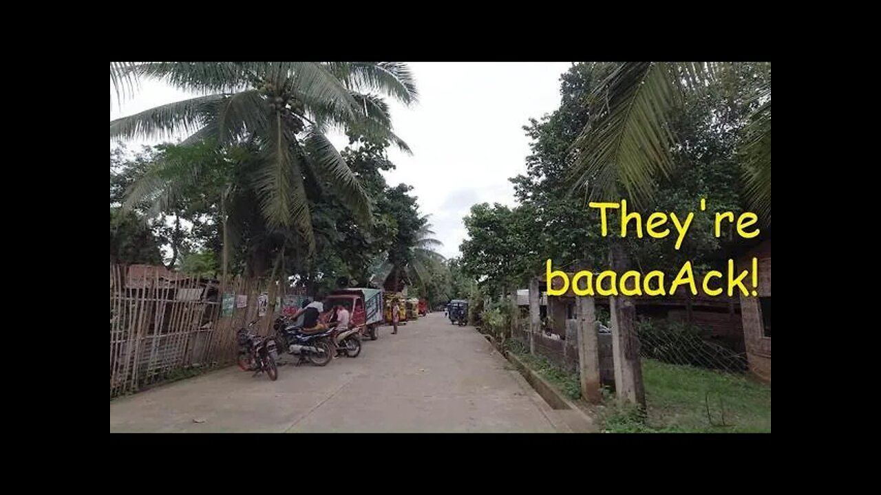 THE FIESTA IN THE PHILIPPINES