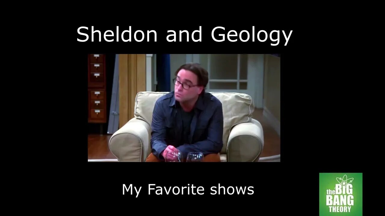 The Big Bang Theory- Leonard, did you throw a children's party while I was in Texas