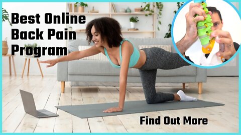 Sheets Don't Work, You Need A Video Based Program To Fix Your Back Pain