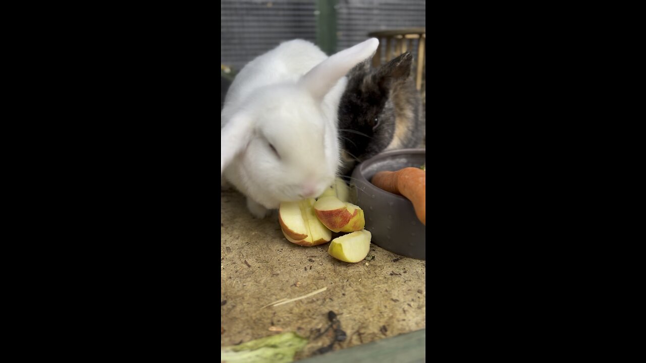 Breakfast Time