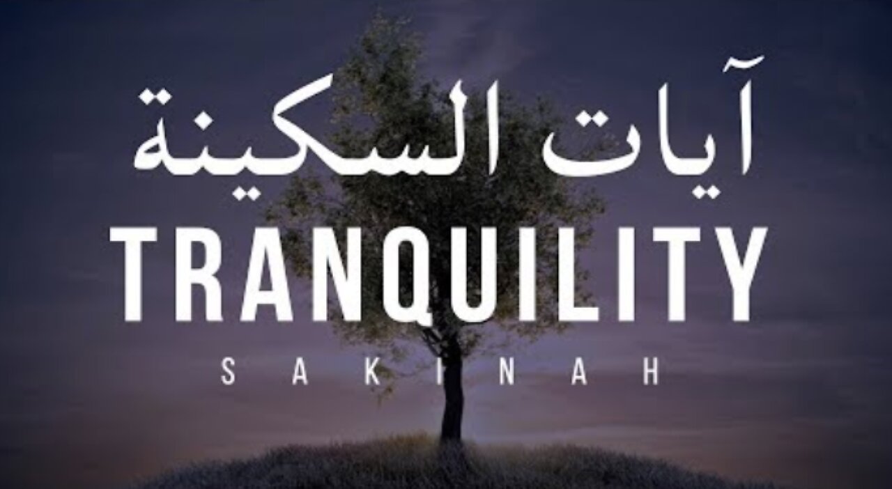 AYAT OF TRANQUILITY - Verses of Tranquility - SAKINAH أيات السكينة لدفع الهموم