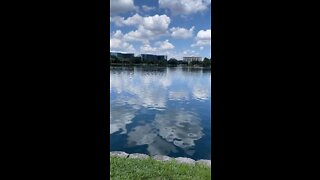 Livestream Replay - Lake Eola, Orlando, FL