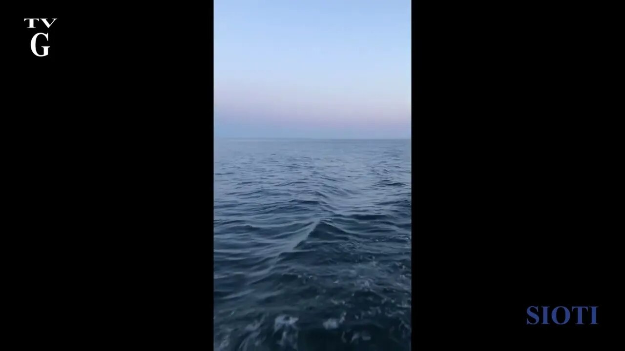 20 August
