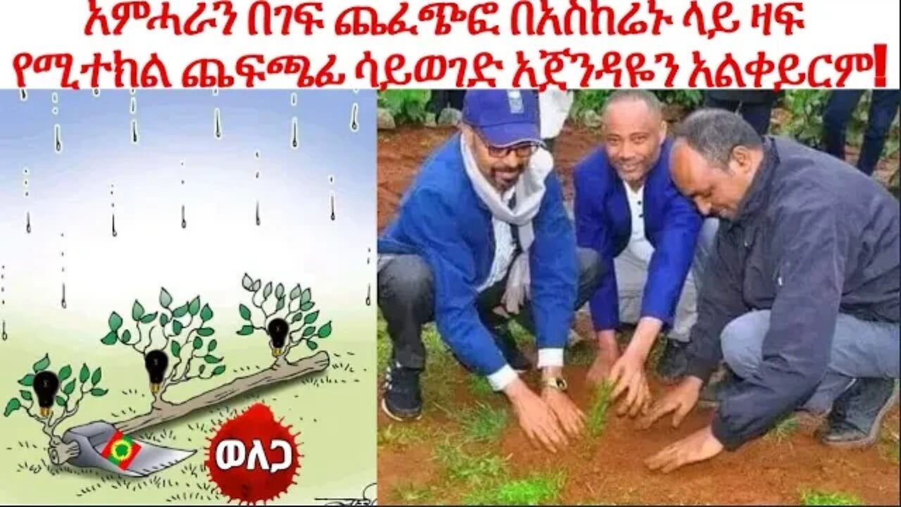 አምሓራን በገፍ ጨፈጭፎ በአስከሬኑ ላይ ዛፍ የሚተክል ጨፍጫፊ ሳይወገድ አጀንዳዬን አልቀይርም!