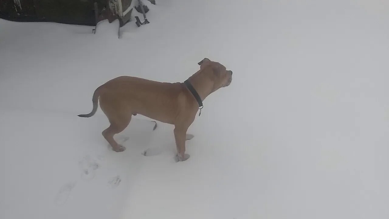 Max in Arctic like weather