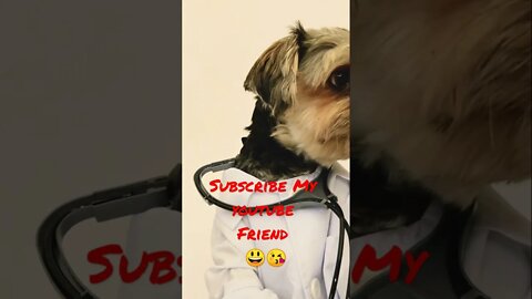 Doog Video #shorts #youtube #youtubeshorts