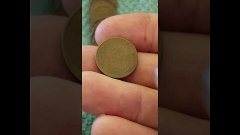 quick look through some wheat cents scored at the bank