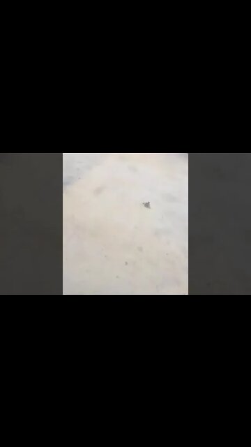 ۲۹ ژوئیهٔ ۲۰۲۲