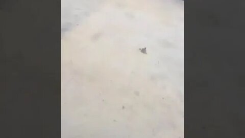 ۲۹ ژوئیهٔ ۲۰۲۲