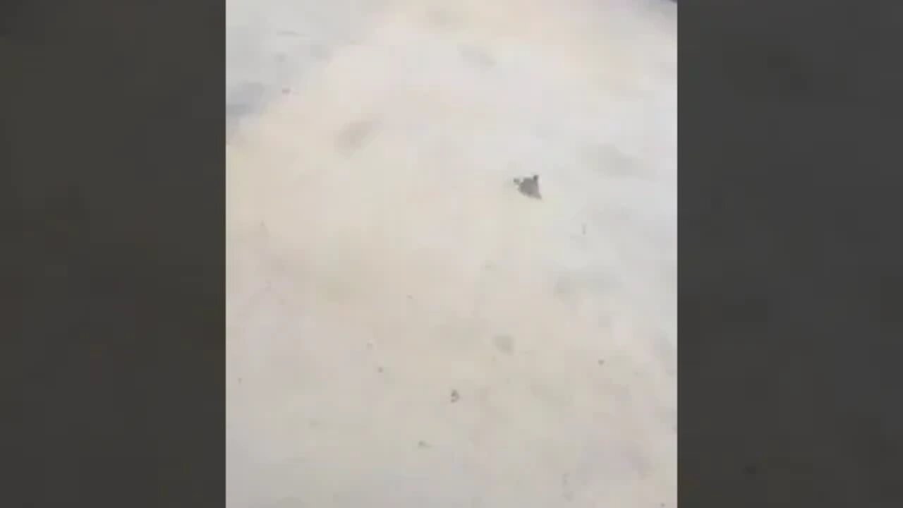 ۲۹ ژوئیهٔ ۲۰۲۲