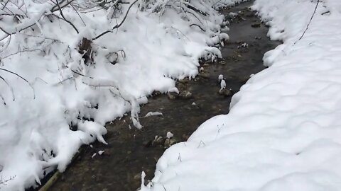 Homestead Snow Walk