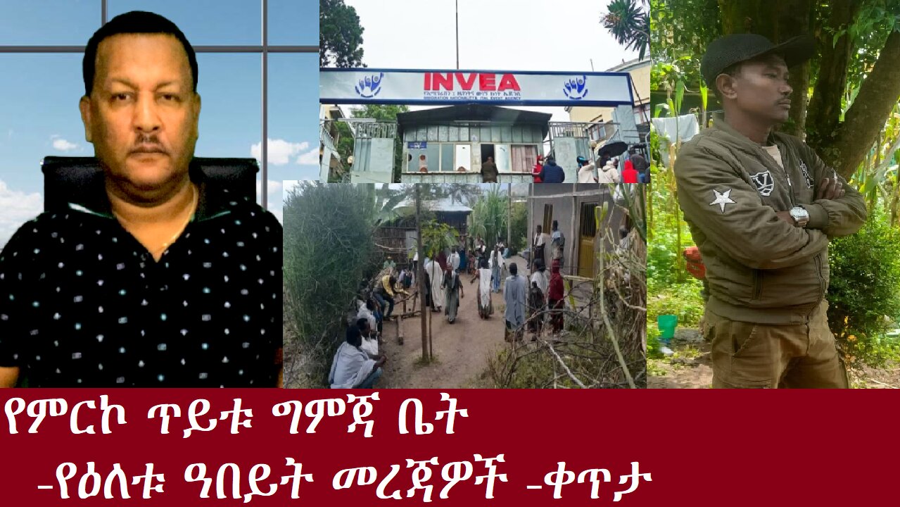 የምርኮ ጥይቱ ግምጃ ቤት- የዕለቱ ዓበይት መረጃዎች-ቀጥታNov 13,2024