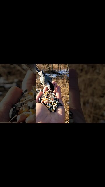 Quais os sinais espirituais?