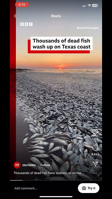 Thousands of fish wash up on the Texas Shore!!!!