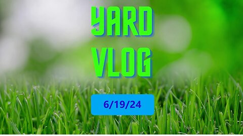 Yard Vlog 6/19/2024