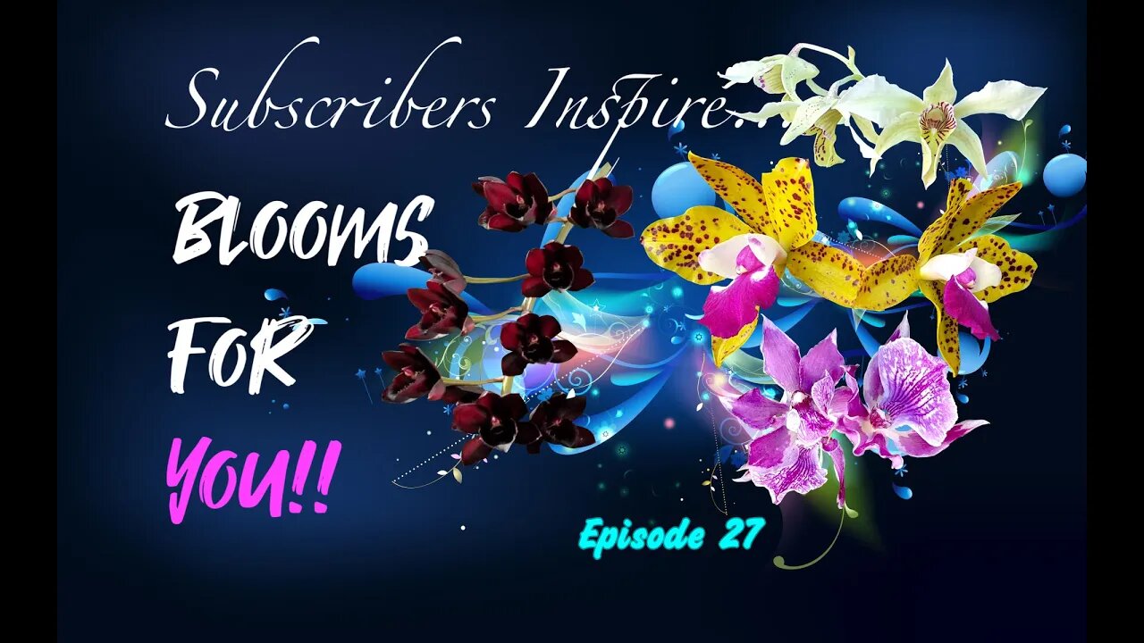 Subscribers Inspire | You Color my life | Blooms for YOU | Episode 27 🌸🌺🌼💐 #orchidsinbloom