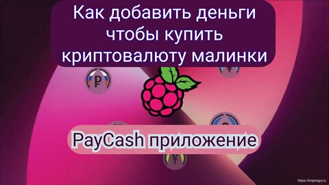 Как пополнить счет в paycash инструкция, как купить рубкэш в paycash. Добавить деньги купить малинки