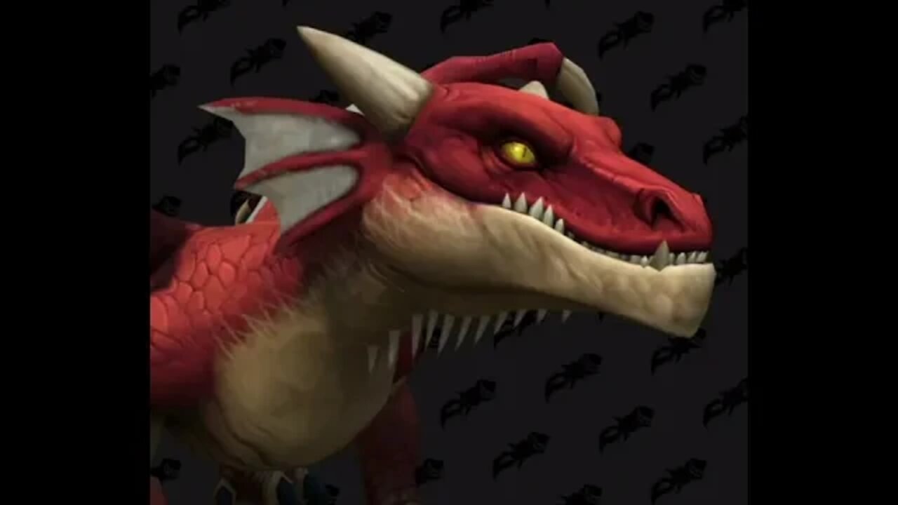 Dragonflight Dragon riding customization options