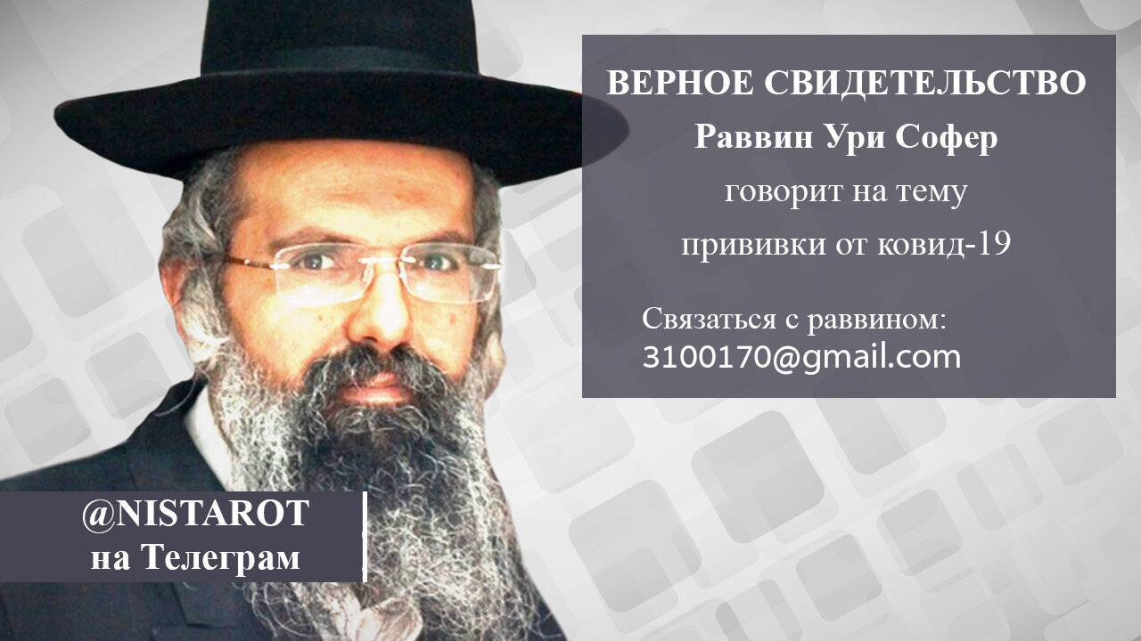 Верное Свидетельство: Судья раввин Ури Софер | @nistarot на Телеграм