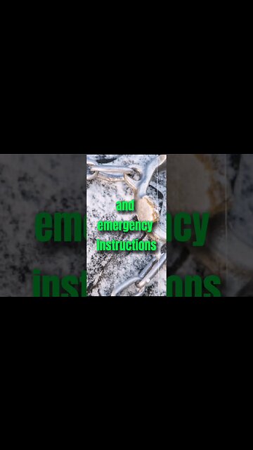 Earth's Destiny in the 2020s: The Polar Vortex's Role