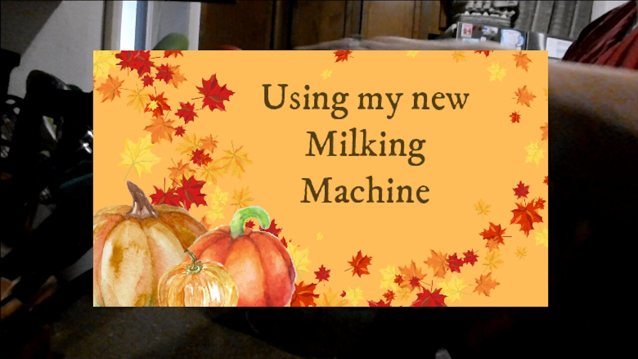 Using my new milking machine