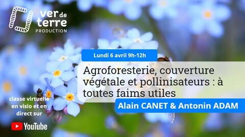 Agroforesterie, couverture végétale et pollinisateurs : à toutes faims utiles, avec Alain Canet