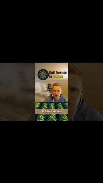 #shorts Marcel Kringe on the difference between farming in other countries