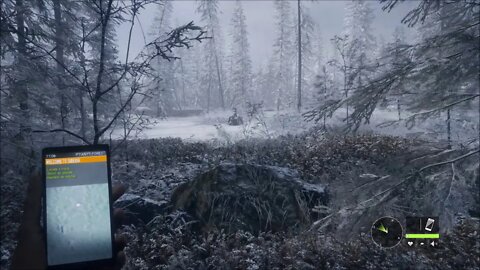 A Walk In The Snow In P'Yanyy Forest - theHunter: Call Of The Wild Medved Taiga DLC - utherwurlds