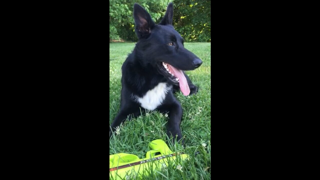 Nash