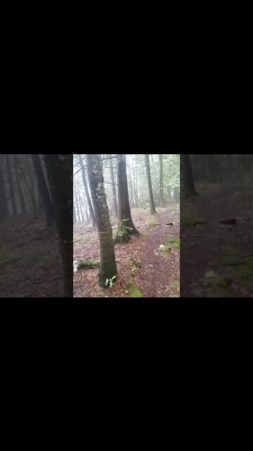 Rain Rain and more rain