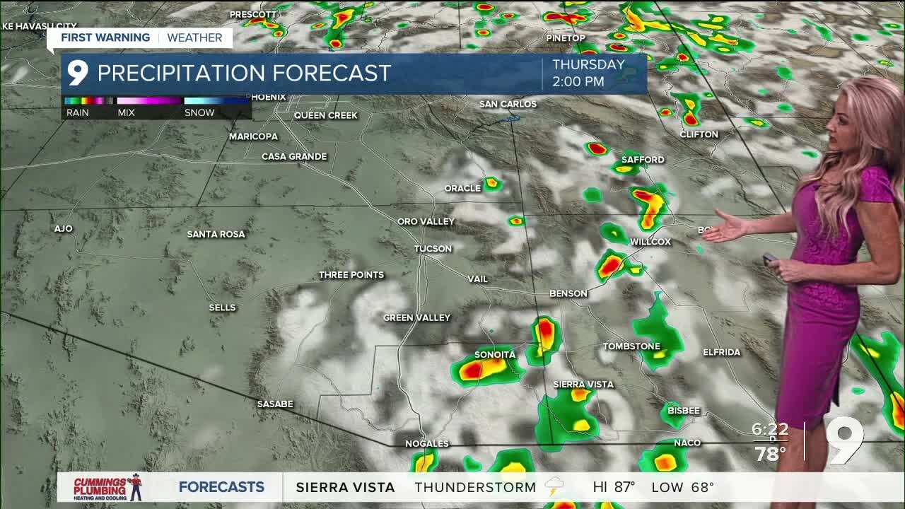 Day to day variations in Monsoon storm coverage