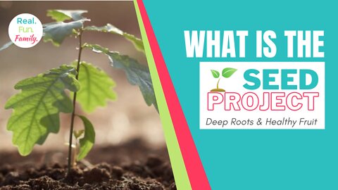 What Is The SEED Project?