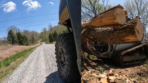 Clearing trees & time lapse progress from a new cabin in the woods site