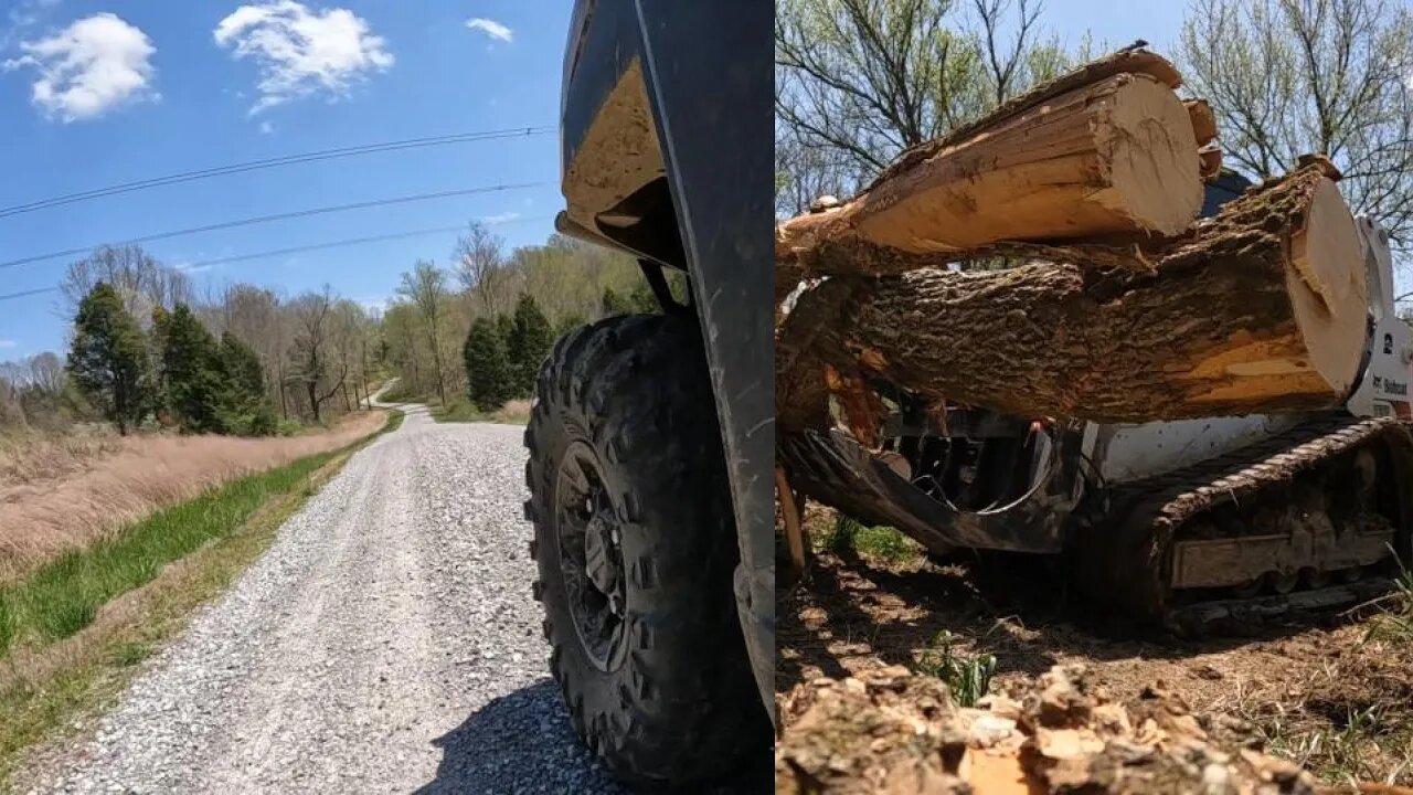 Clearing trees & time lapse progress from a new cabin in the woods site