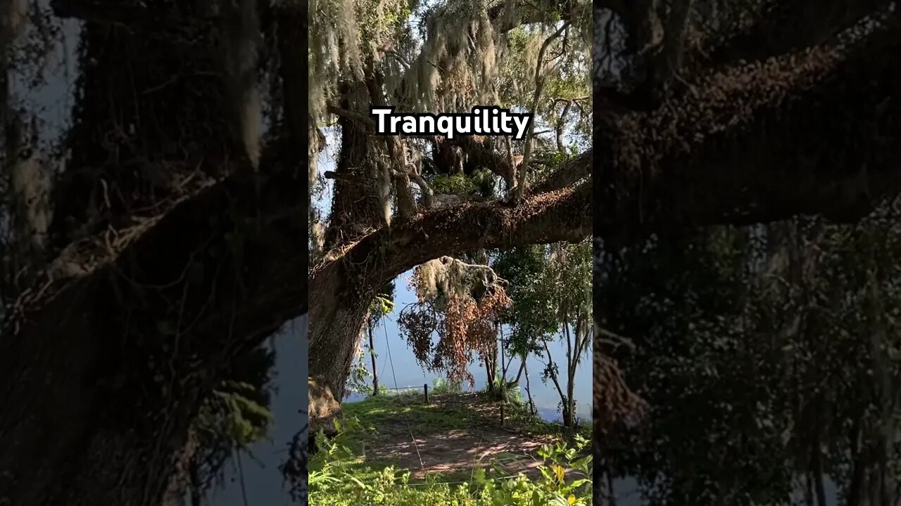 Outdoor Tranquillity
