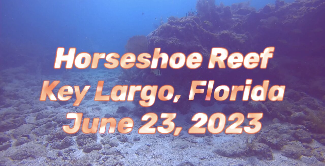 SCUBA Diving Horseshoe Reef, Key￼ Largo, Florida, U.S.A.