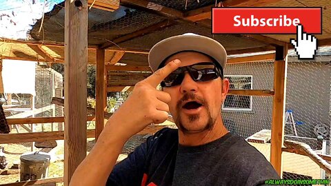 Big plans at the Waddlin Farm