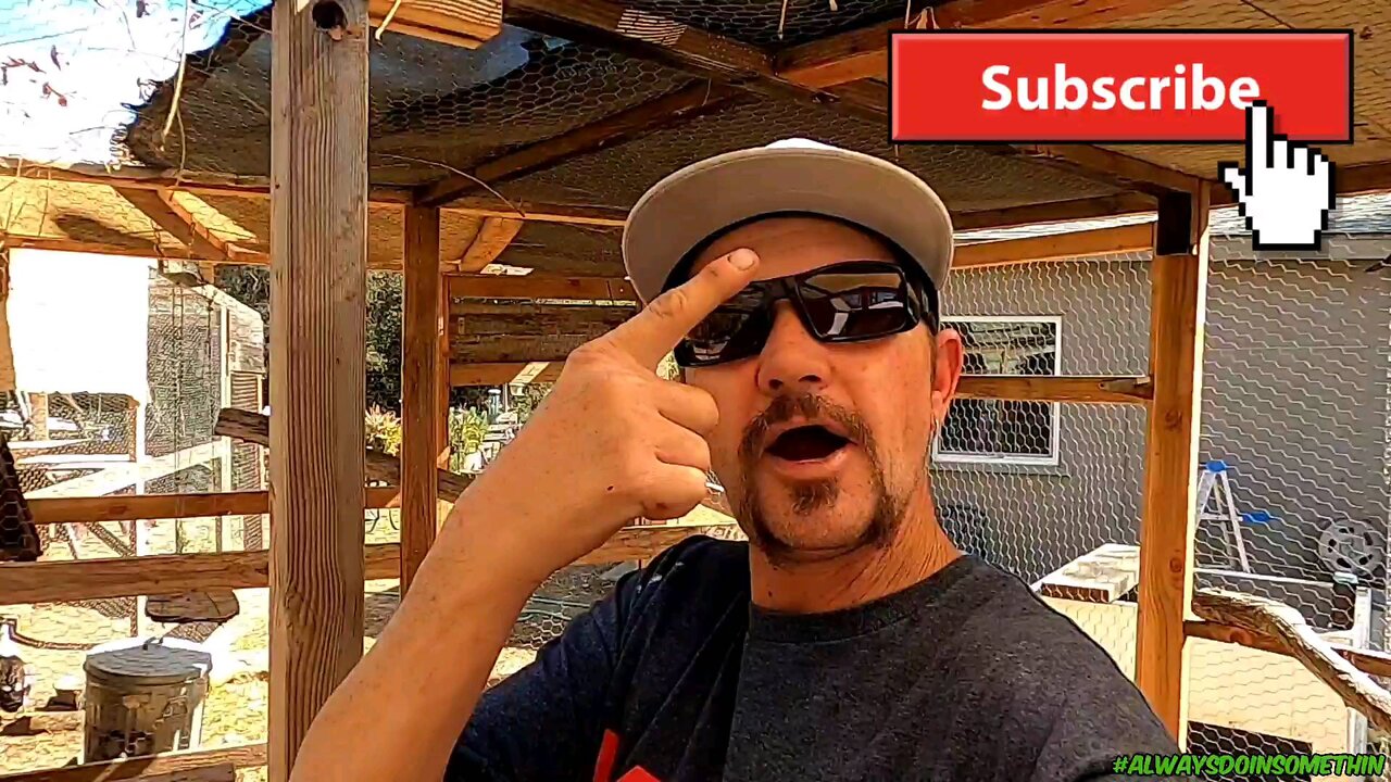 Big plans at the Waddlin Farm