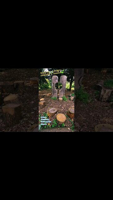 Nature Walk🍃🧚‍♂️ #naturelovers #nature #naturespirit #naturewalk #naturebeauty #silenthillps1 #walk